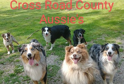 Cross Road Country Aussie's